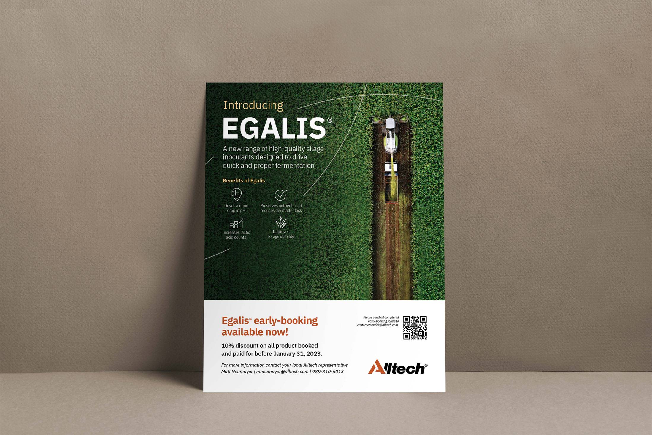 Egalis Flyer Mockup